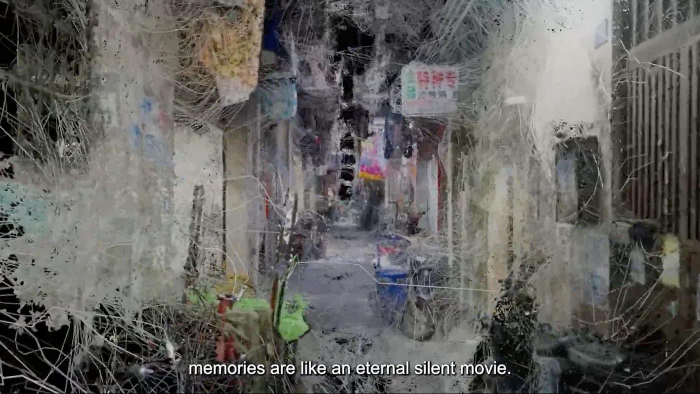颅内花园 ”Former Garden”